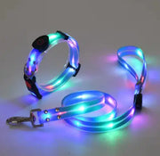 GlowGuard Collar GLR SHOPPING