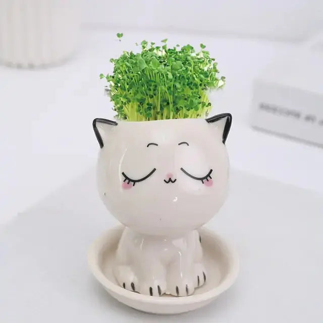 Mini Cat Shaped Cartoon Ceramic Flowerpot GLR SHOPPING