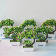 Small Bonsai Tree GLR SHOPPING