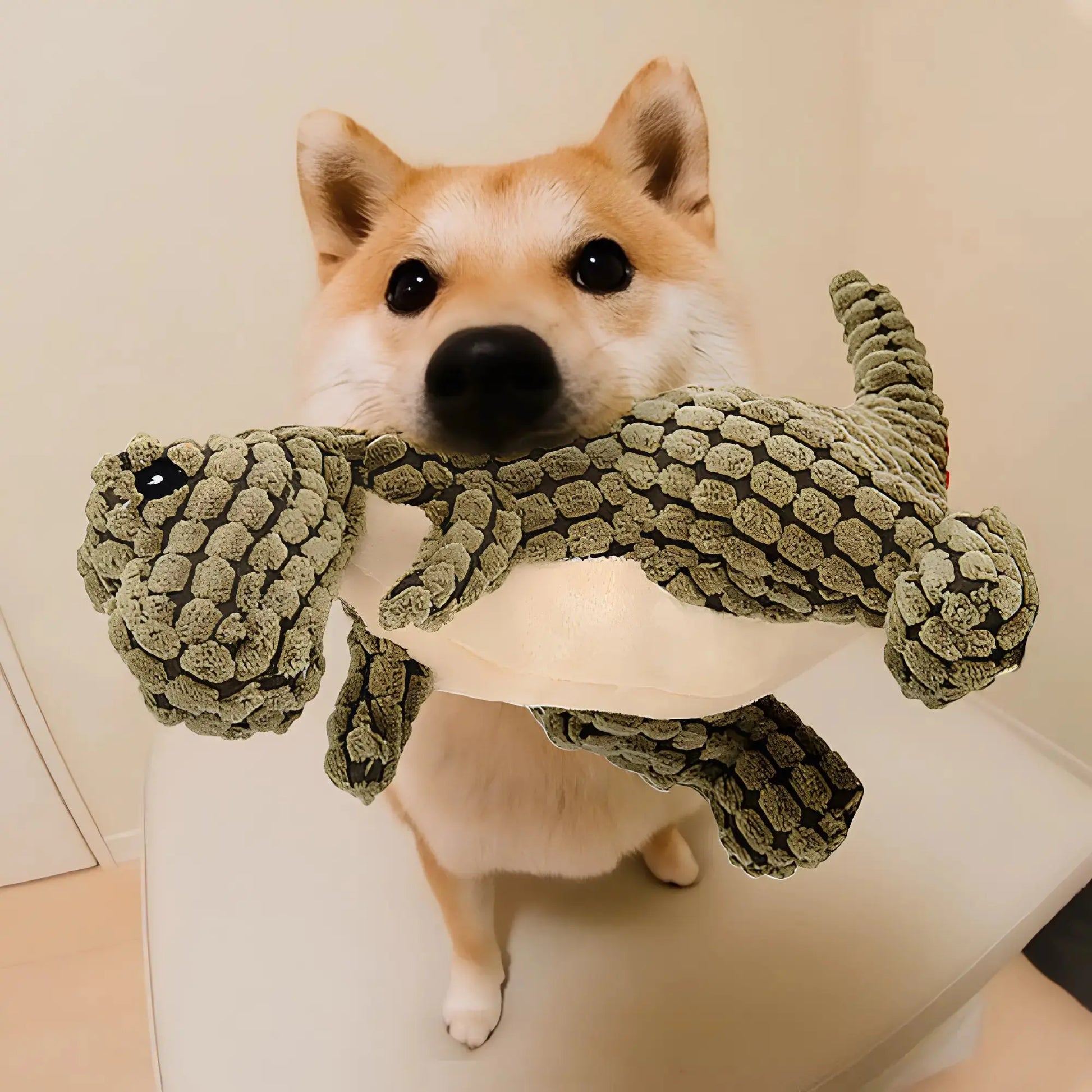 Dinosaur Dog Toys GLR SHOPPING