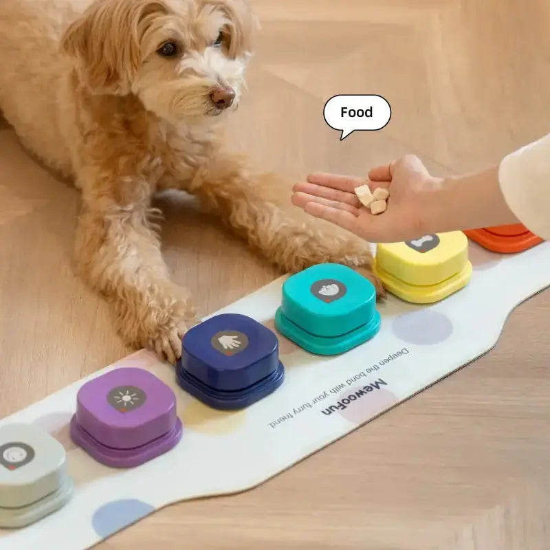 Training Buzzer Recordable Talking Button GLR SHOPPING