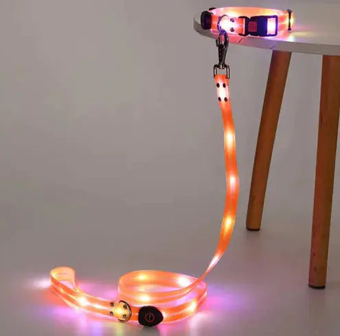 GlowGuard Collar GLR SHOPPING