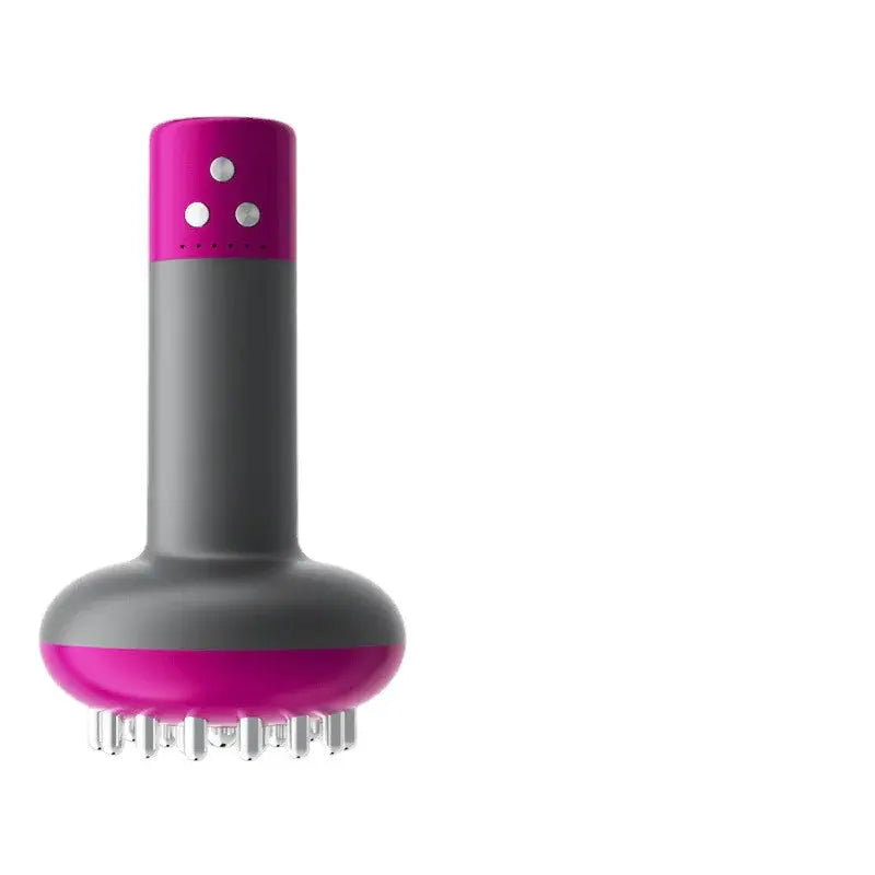 EMS therapy Guasha Massager GLR SHOPPING