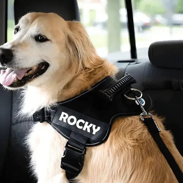 Adjustable Dog Safety Seat Belt GLR SHOPPING
