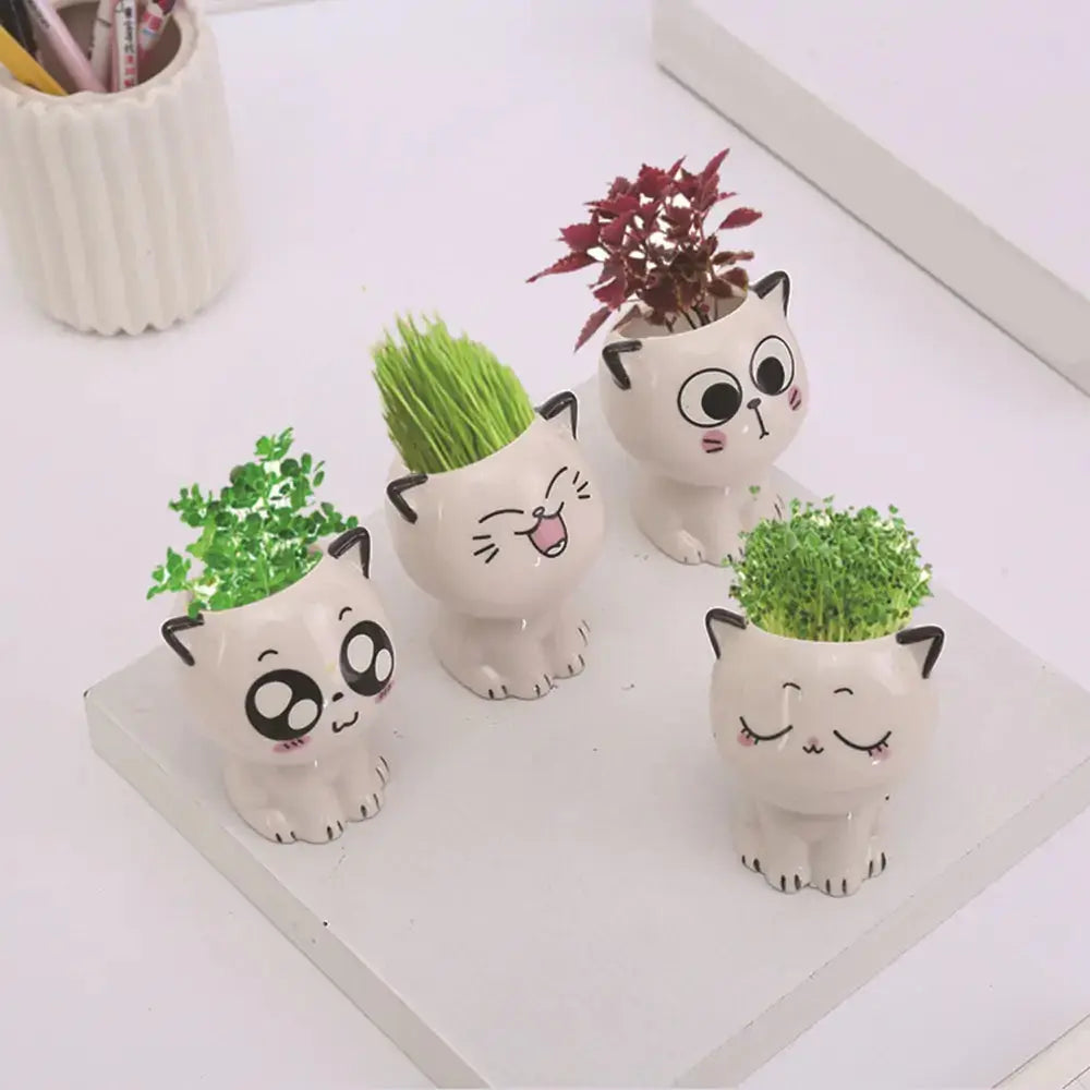 Mini Cat Shaped Cartoon Ceramic Flowerpot GLR SHOPPING