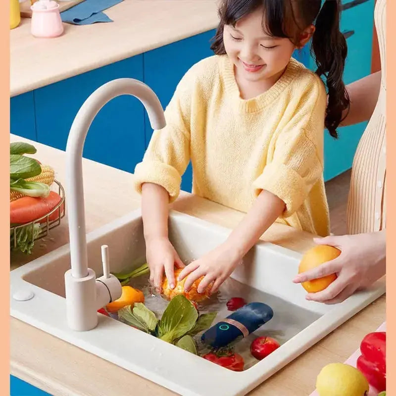 Portable Fruit Vegetable Purifier Sterilizer GLR SHOPPING