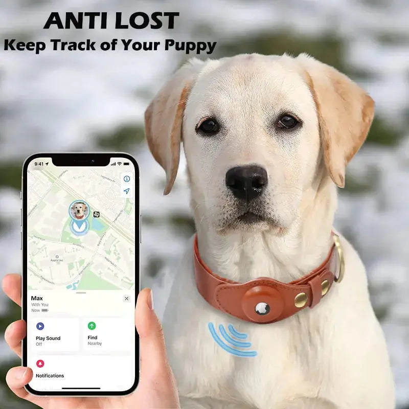 Leather Anti-Lost Dog Collar GLR SHOPPING