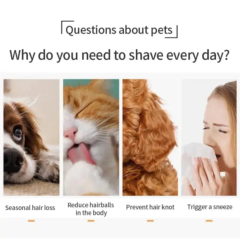 Cat Grooming Brush GLR SHOPPING