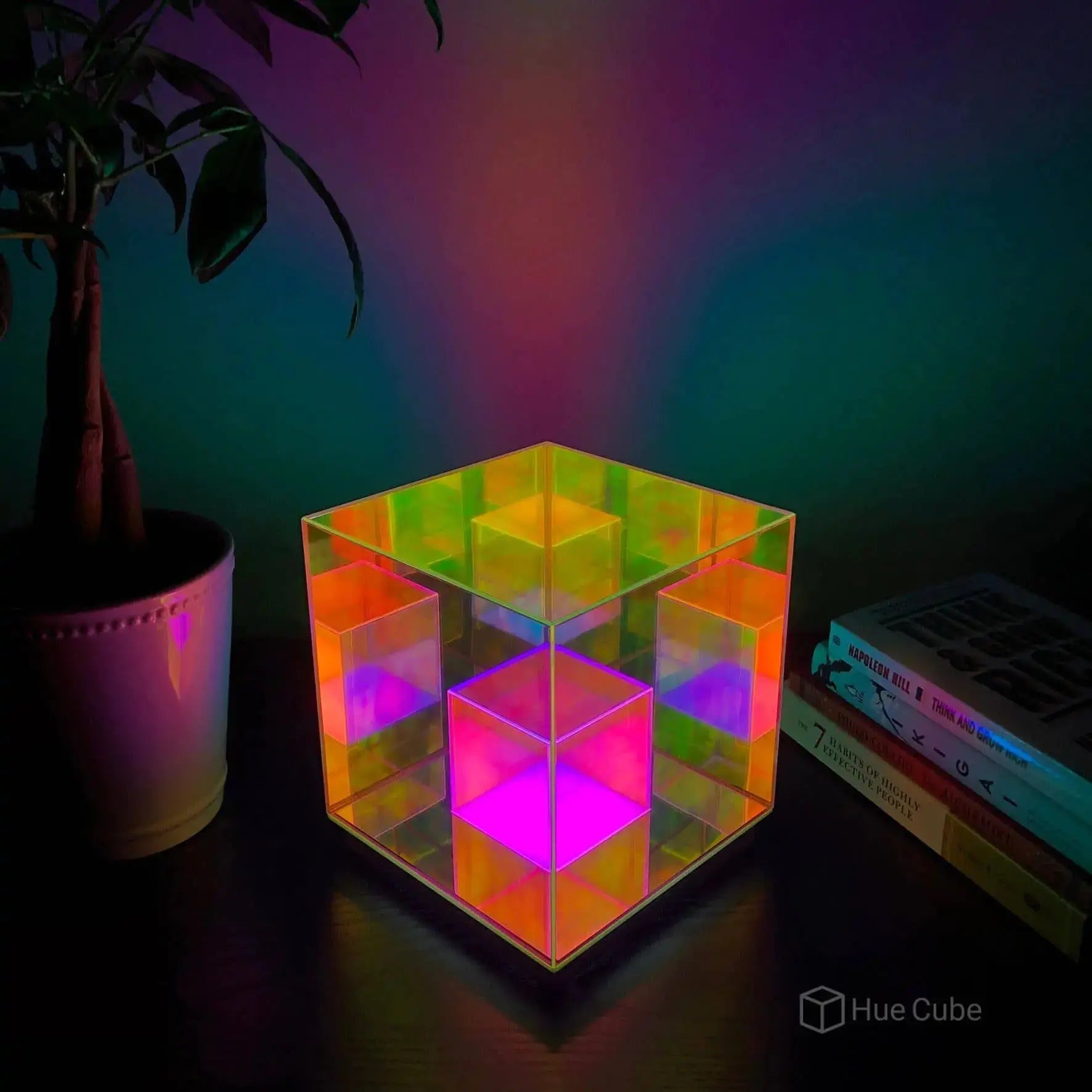 The Infinity Lamp GLR SHOPPING