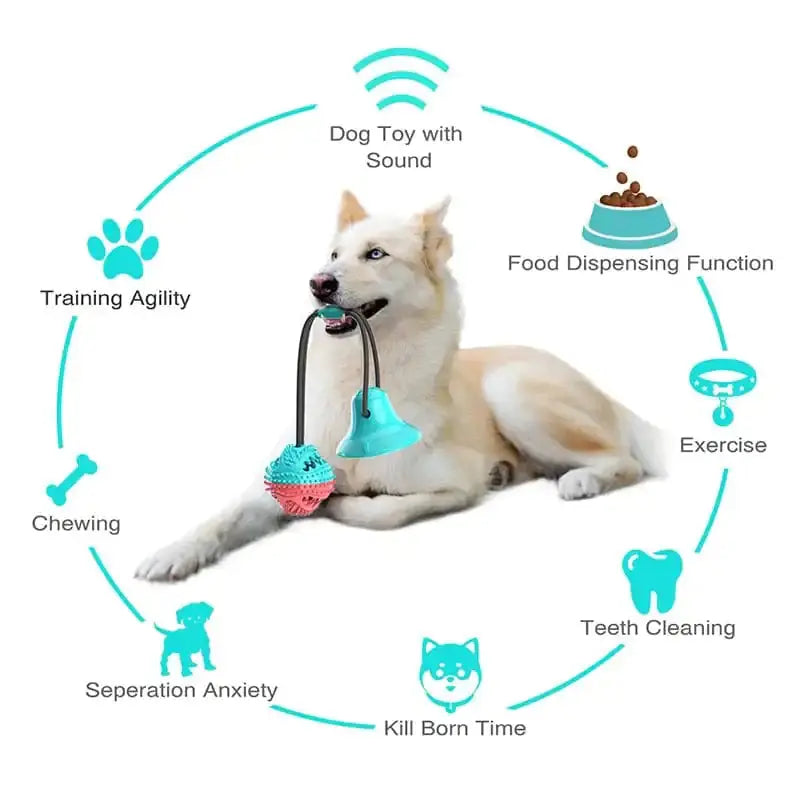 Silicone Suction Cup Dog Toy GLR SHOPPING