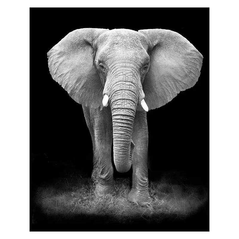 Canvas Painting Animal Wall Art GLR SHOPPING