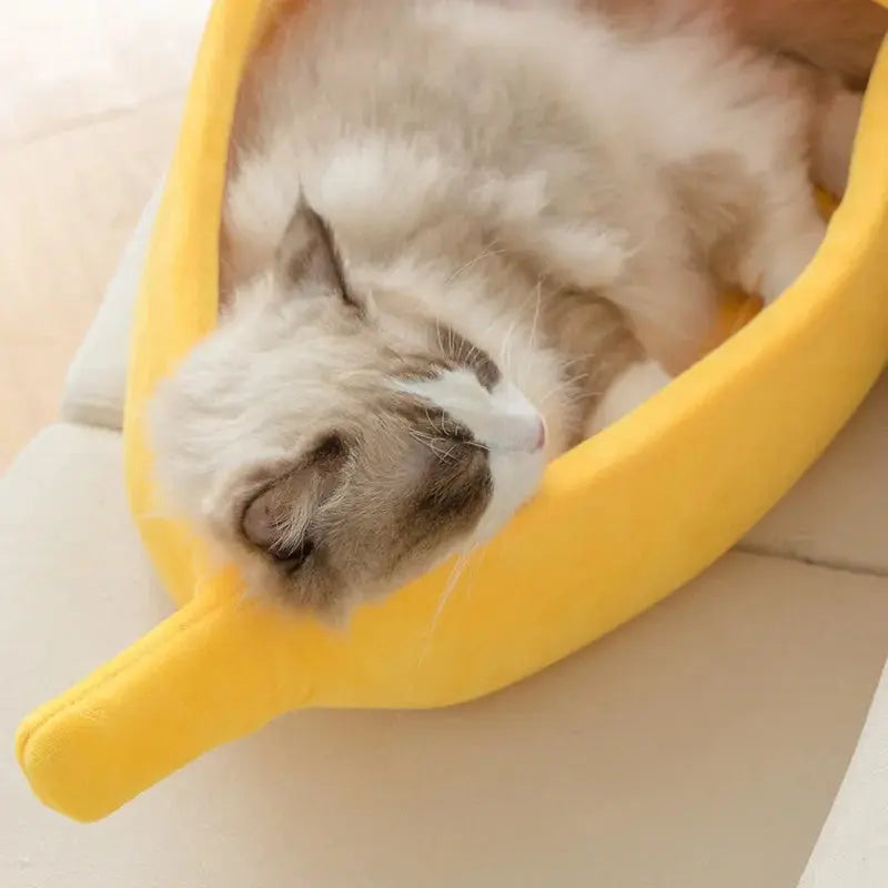 Banana Cat Bed GLR SHOPPING