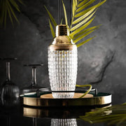 Glass Cocktail Shaker Kit GLR SHOPPING