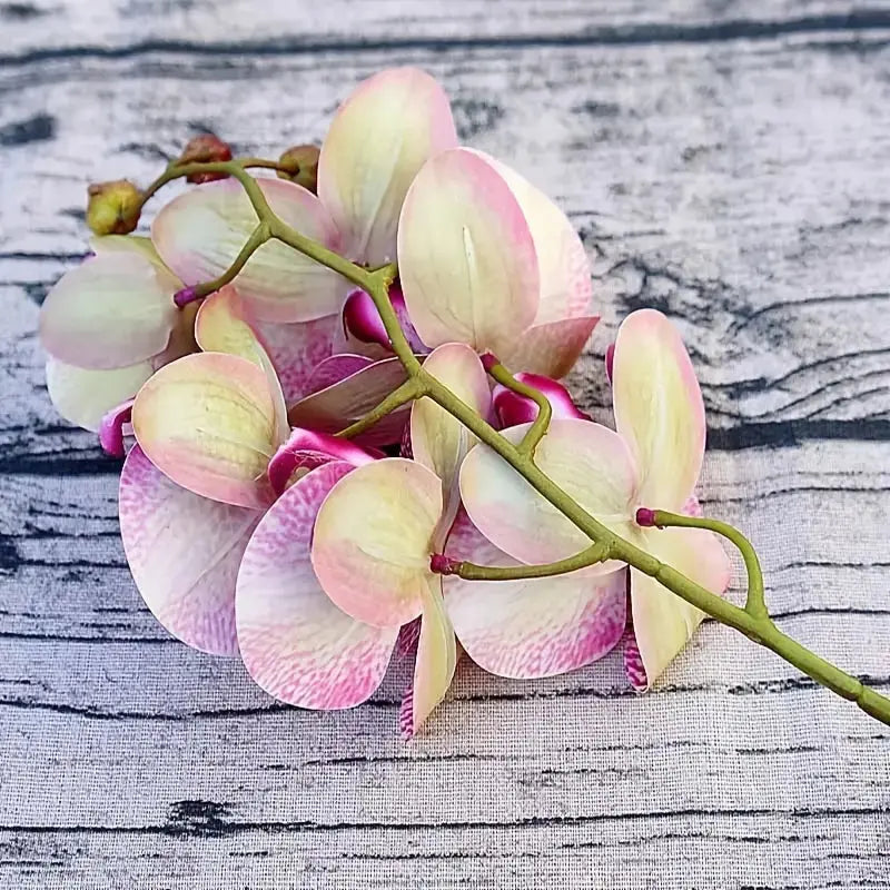 Artificial 6-Head Phalaenopsis Orchid GLR SHOPPING