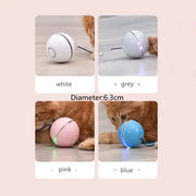 LED Colorful Cat Toy GLR SHOPPING