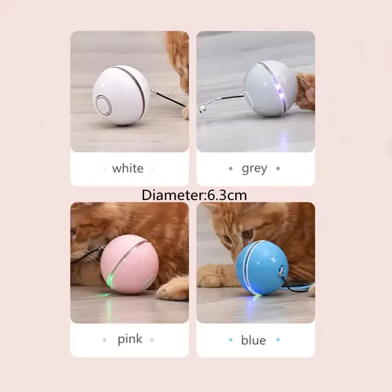 LED Colorful Cat Toy GLR SHOPPING