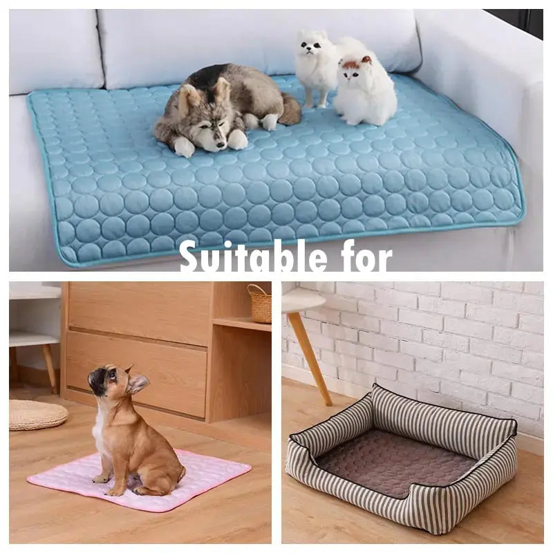Cooling Summer Dog Mat for Pets GLR SHOPPING