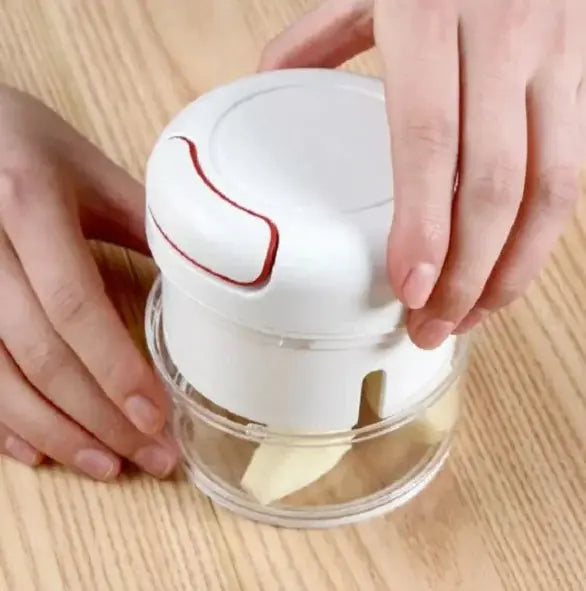 Mini Manual Seasoning Processor Shredder GLR SHOPPING