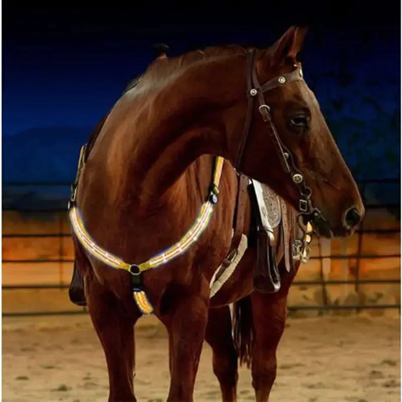 Nylon LED Horse Harness GLR SHOPPING