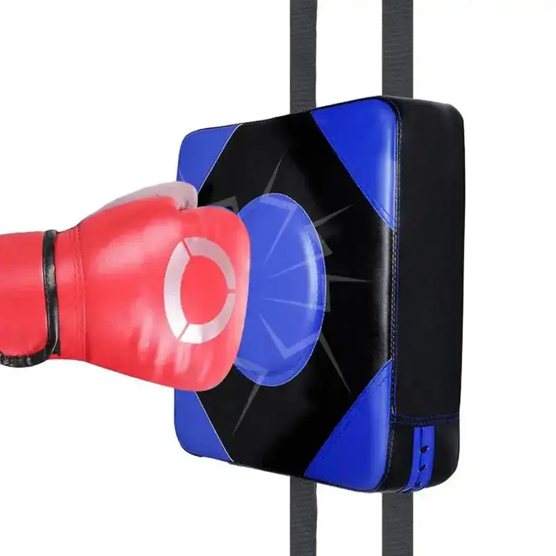 Boxing Wall Focus Pad GLR SHOPPING