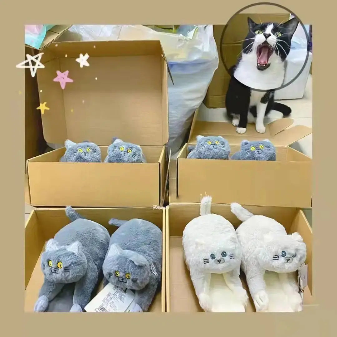 Cuddly Hug Cat Slippers GLR SHOPPING