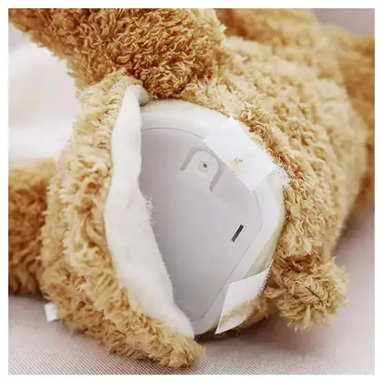 Teddy Bear Peekaboo Toy GLR SHOPPING
