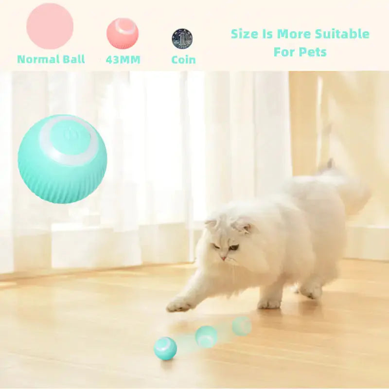Smart Cat Ball Toys GLR SHOPPING