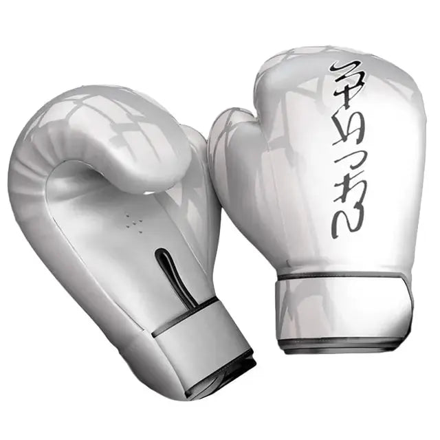 Silver Boxing Gloves GLR SHOPPING
