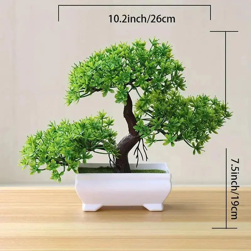 Small Bonsai Tree GLR SHOPPING