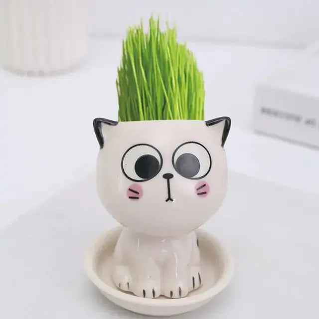 Mini Cat Shaped Cartoon Ceramic Flowerpot GLR SHOPPING