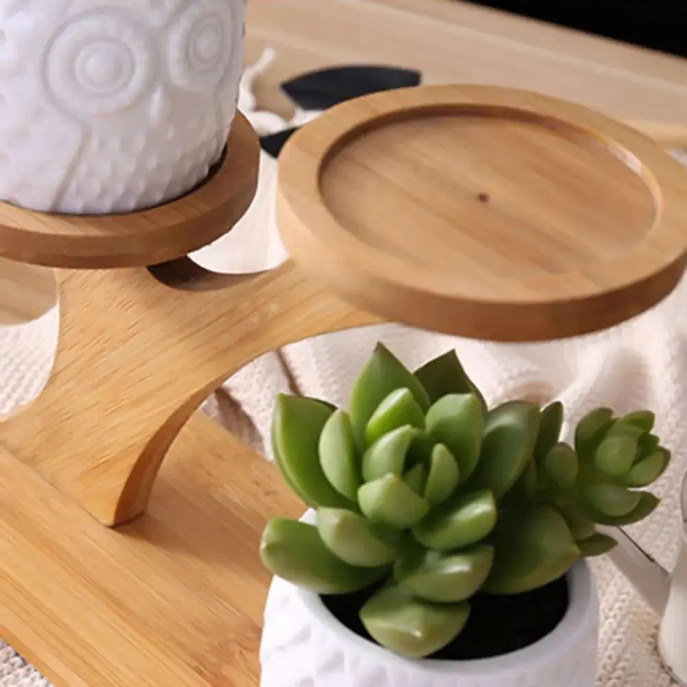 Succulent Pots & Bamboo Shelf GLR SHOPPING