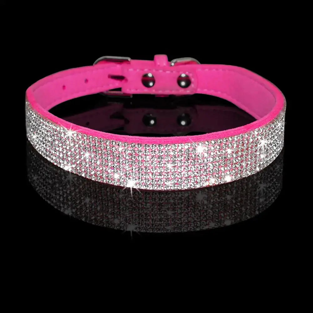 Pet Collar Leash Set GLR SHOPPING