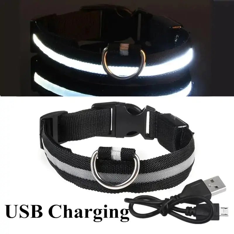 Adjustable LED Pet Collar GLR SHOPPING