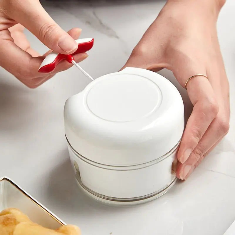 Mini Manual Seasoning Processor Shredder