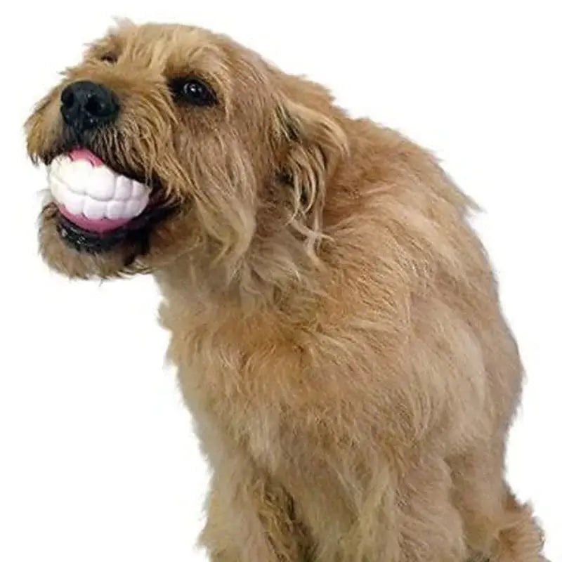 Pet Ball Teeth Silicon Chew Toys for Large Breeds GLR SHOPPING