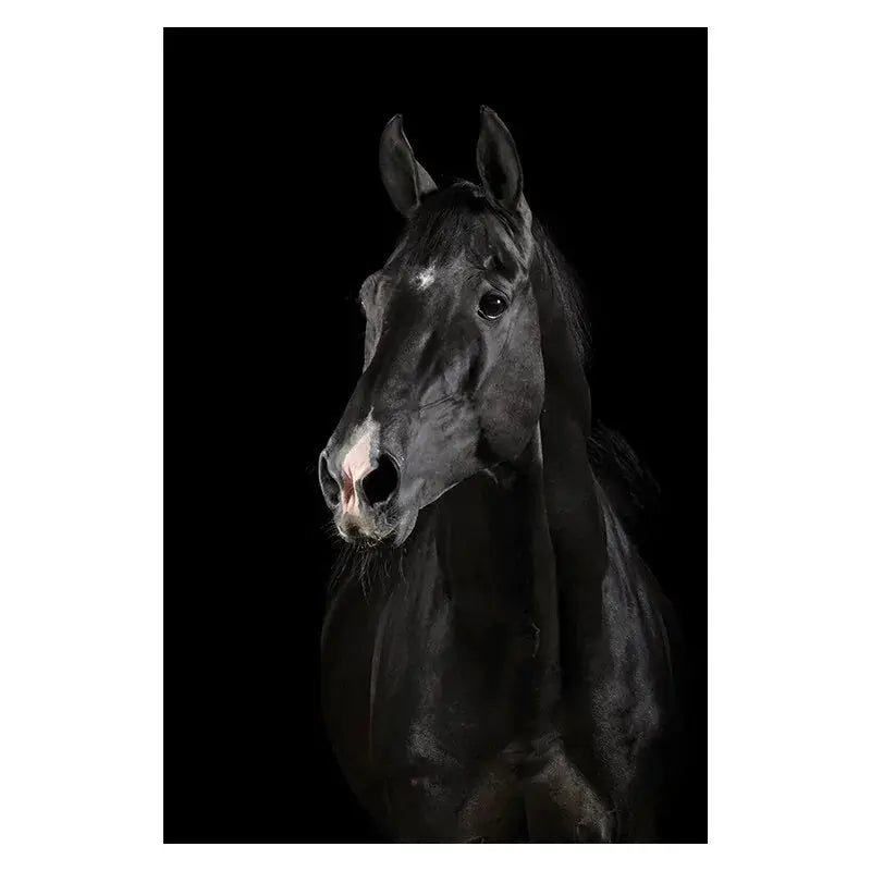 Canvas Painting Animal Wall Art GLR SHOPPING