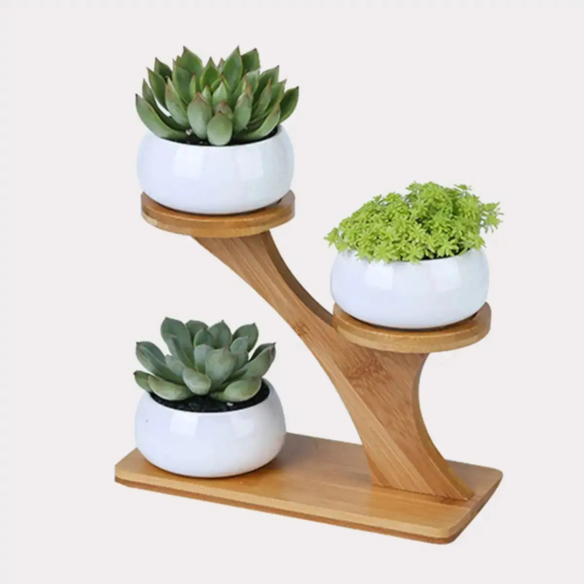 Succulent Pots & Bamboo Shelf GLR SHOPPING