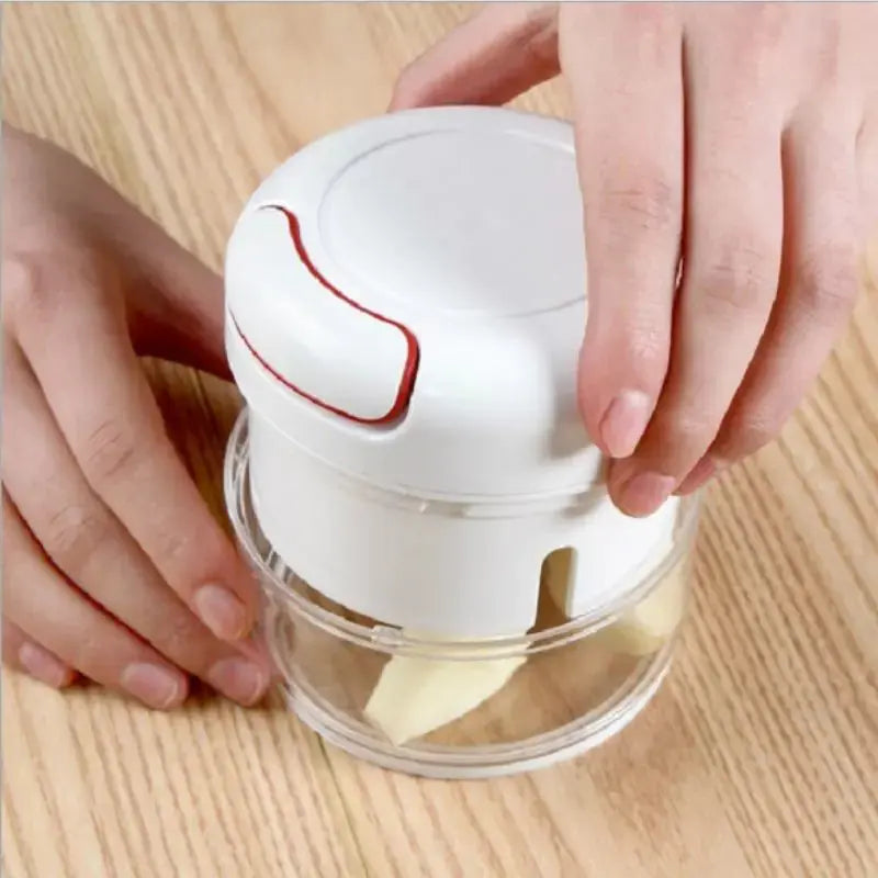 Mini Manual Seasoning Processor Shredder GLR SHOPPING