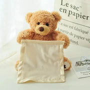 Teddy Bear Peekaboo Toy GLR SHOPPING