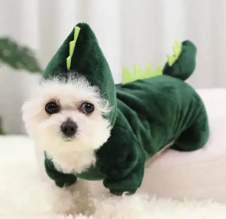 Cozy Dinosaur Pet Apparel GLR SHOPPING
