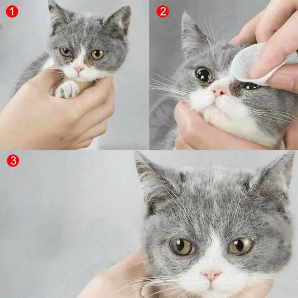 Pet Wet Wipes GLR SHOPPING