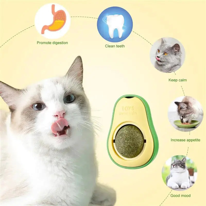 Avocado Mint Ball Toy GLR SHOPPING