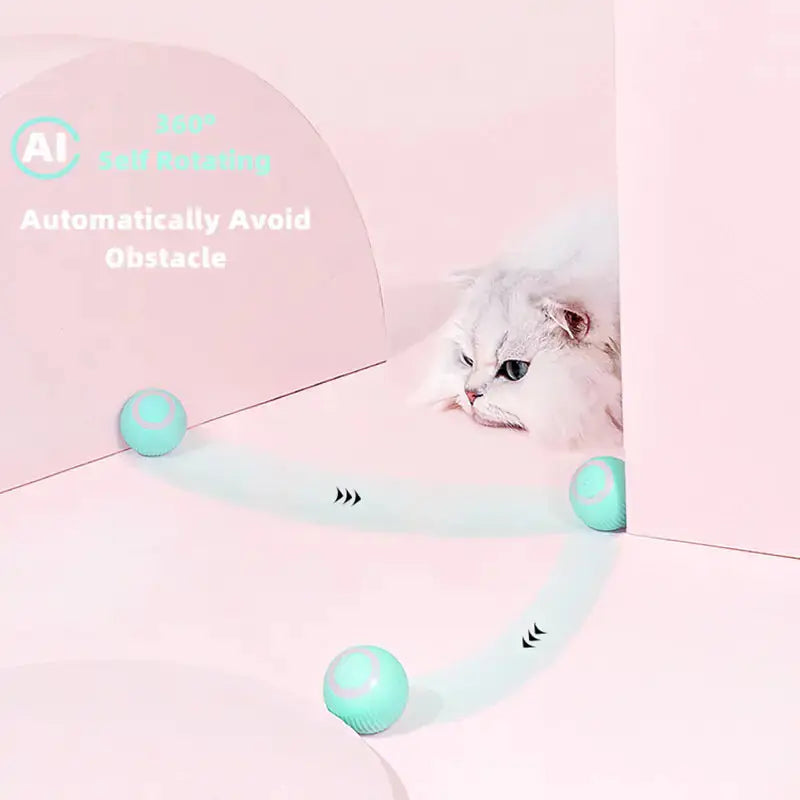 Smart Cat Ball Toys GLR SHOPPING