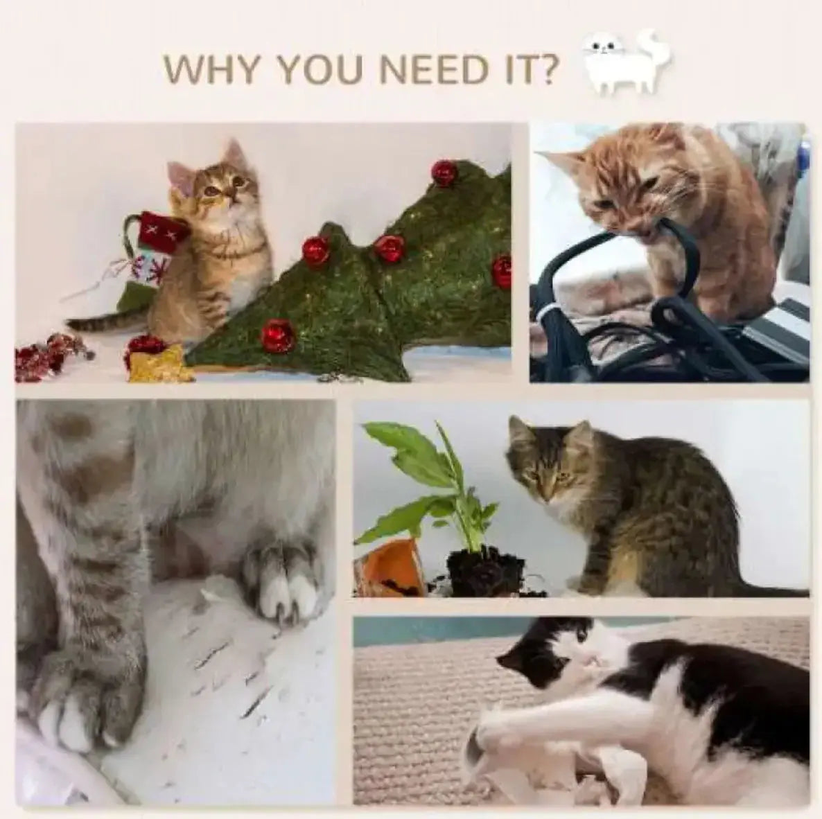 Cat Wall Shelves Set Furniture GLR SHOPPING