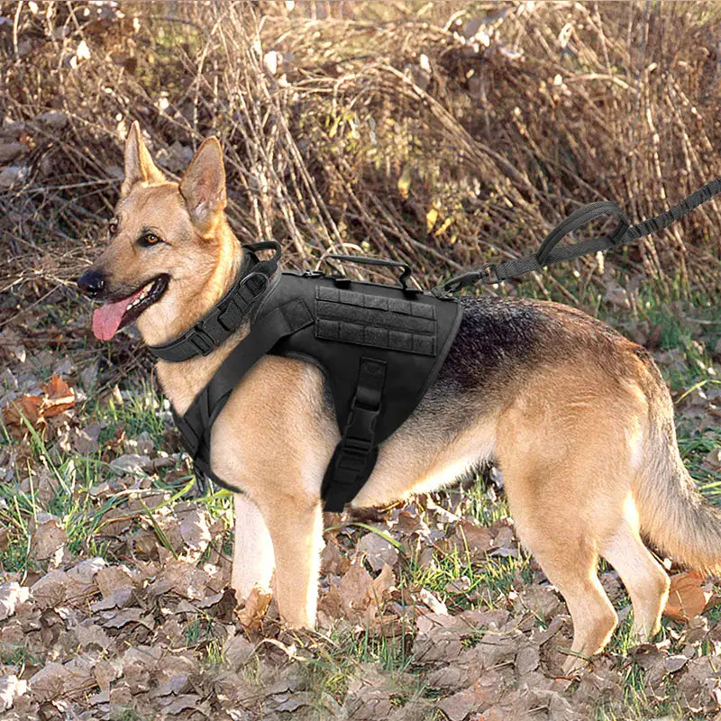 Tactical dog harness GLR SHOPPING