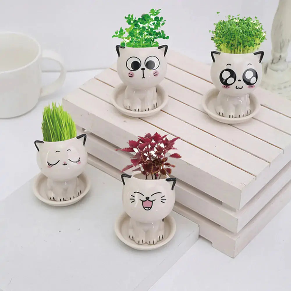 Mini Cat Shaped Cartoon Ceramic Flowerpot GLR SHOPPING
