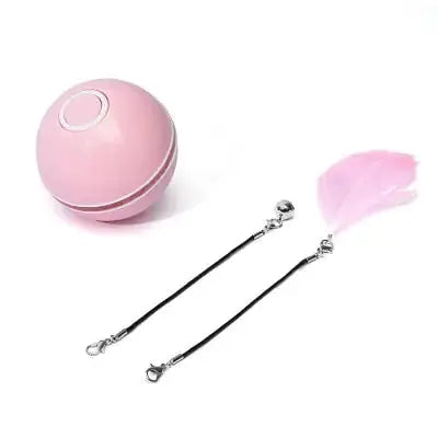 LED Colorful Cat Toy GLR SHOPPING