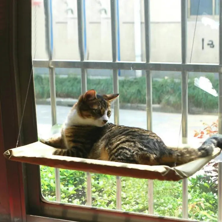 Cat Window Bed - GLR SHOPPING