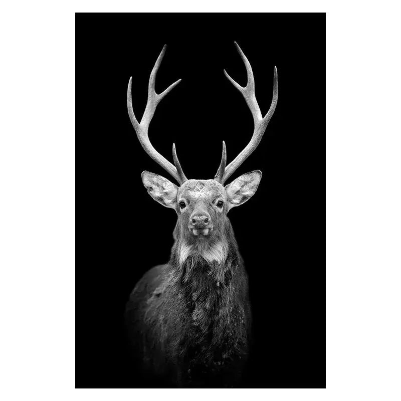 Canvas Painting Animal Wall Art GLR SHOPPING
