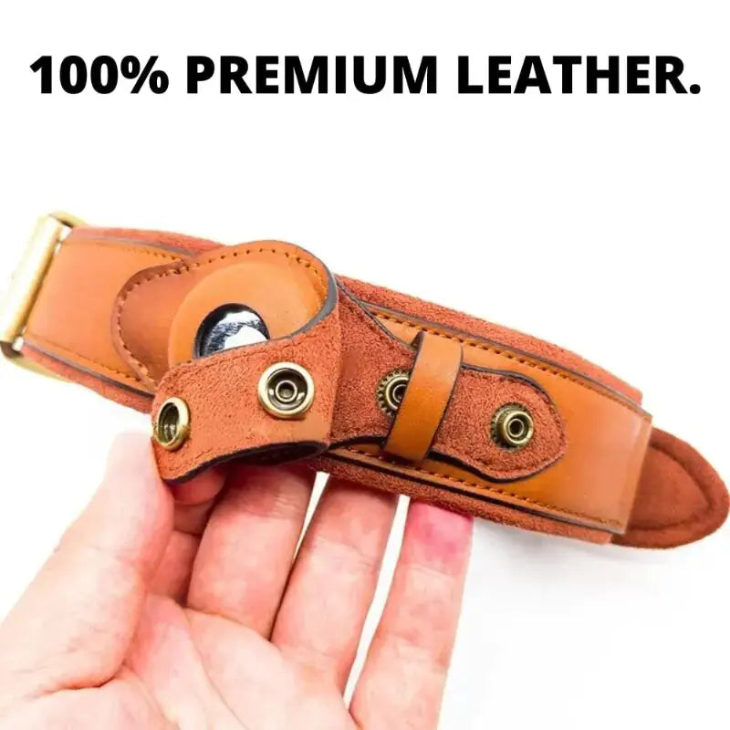 Leather Anti-Lost Dog Collar GLR SHOPPING